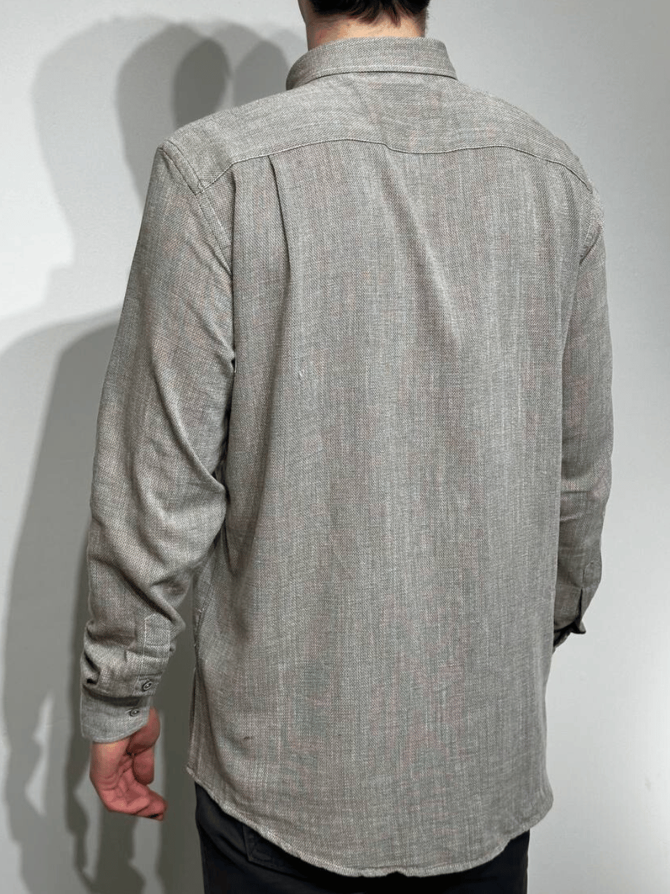 Рубашка мужская Plāns VP-12, Regular fit